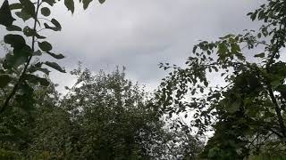 28.09.2018 Pasieka Kamionek