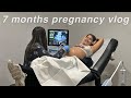 week in my life pregnant: ultrasound appts, grocery shopping, &amp; apartment updates