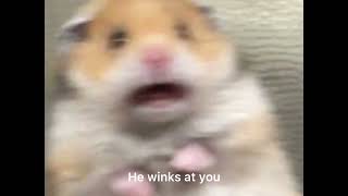 When You Sit Next To Your Crush Be Like -