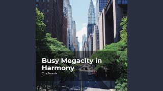 Megacity Environment