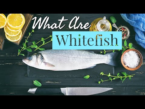 فيديو: ما يمكن طهيه من السمك المفلطح