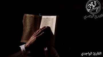 القارئ حسن الواجدي _ سورة النساء اية 98