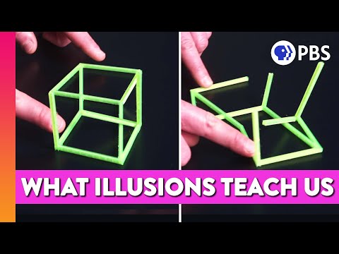 ⁣How Illusions Can Teach Us About the Mind