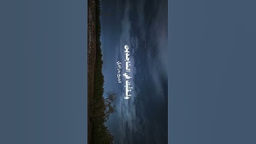 ( وَتَوَكَّلْ عَلَى الْعَزِيزِ الرَّحِيمِ ) | تلاوة الشيخ بدر التركي🤍 في سورة الشعراء ( ٢١٧ - ٢٢٠ )