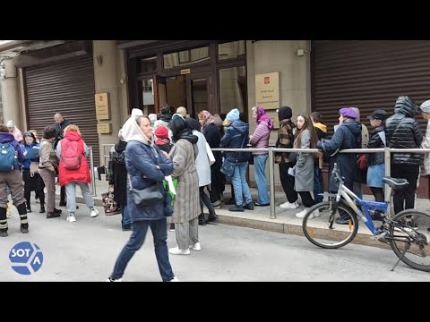 Огромная очередь у Администрации президента в Москве против эвтаназии бездомных собак и кошек.