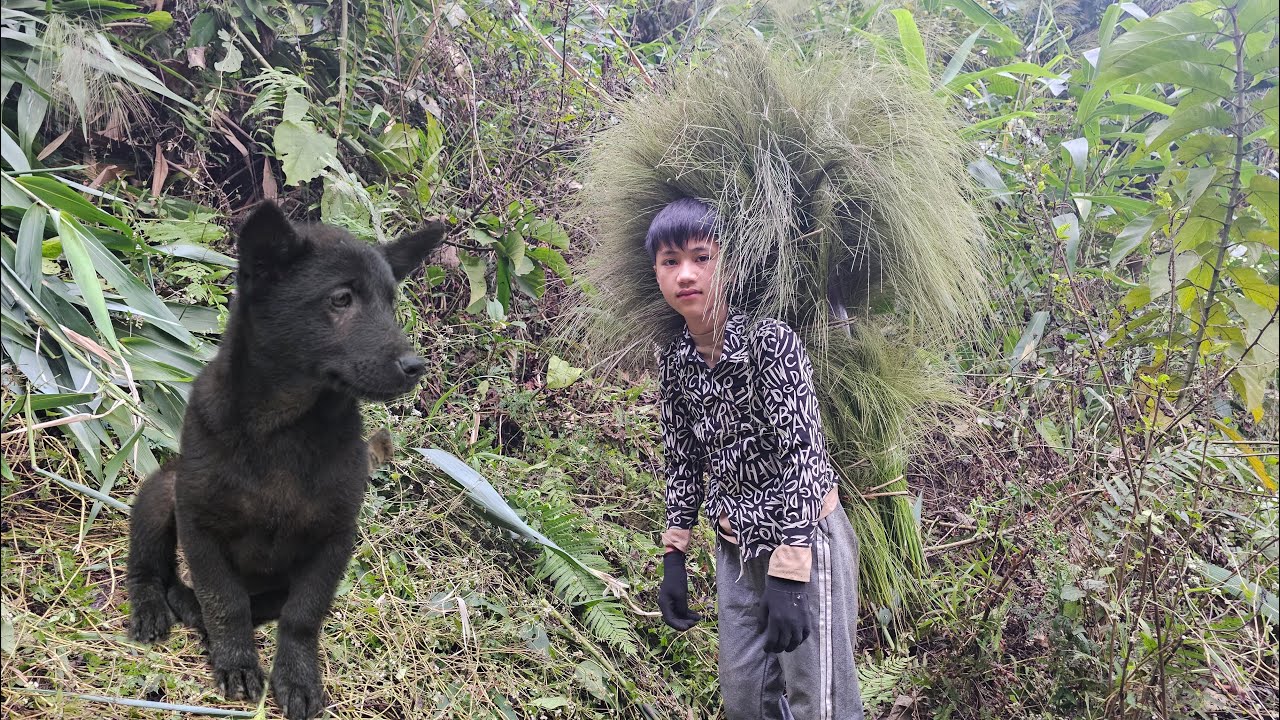 Full video: Nam's harvests vegetables, catches fish to sell - Buys new clothes