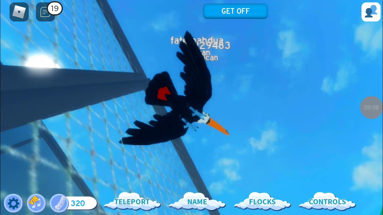 feather family 2 YouTube