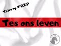 Thierrypeirekop  tes ons leven