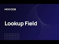 Understanding the Lookup Field in NocoDB