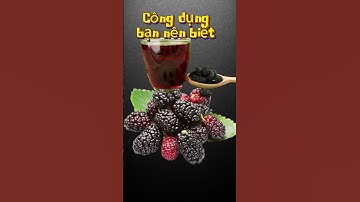 Công dụng tuyệt vời của quả dâu tằm đối với sức khỏe mà bạn nên biết #shorts