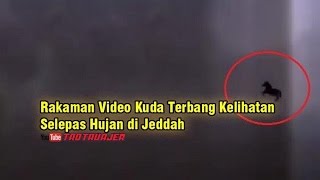 Rakaman Video Kuda Terbang Kelihatan Selepas Hujan di Jeddah