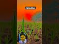 agricultural#boy.... #farming