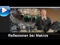 Reflexionen bei der Makro-Fotografie - Tipps &amp; Tricks