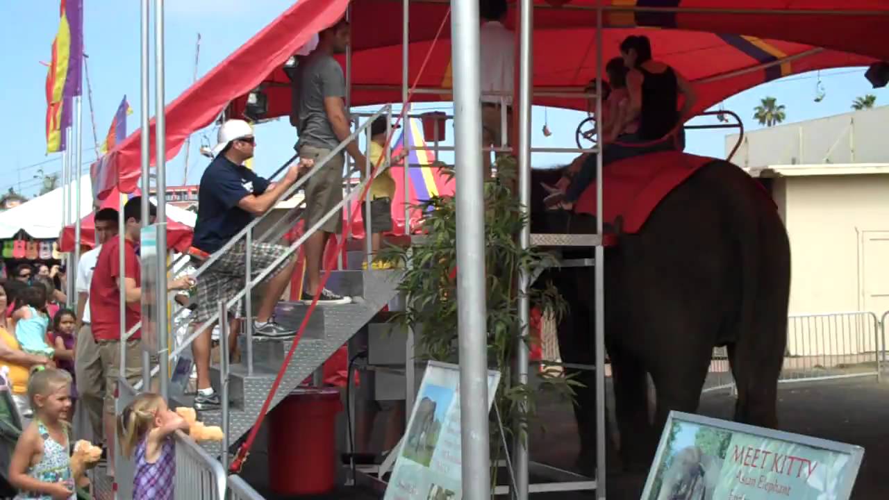 Matty Elephant Ride - YouTube