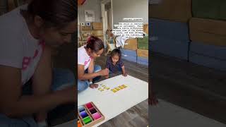 Celebrity Color Box#3 #montessorimaterials #montessoriathome #montessorilesson #montessoripresentation Net Worth