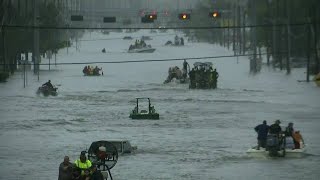 New survey on Harvey's aftermath