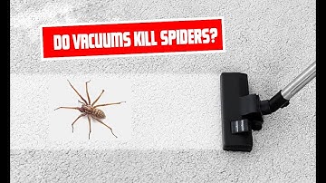 Do Vacuums Kill Spiders? Unveiling the Truth About Vacuuming Arachnids