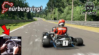 Karting Nürburgring Lap Time | Gran Turismo Sport (Wheel Cam)