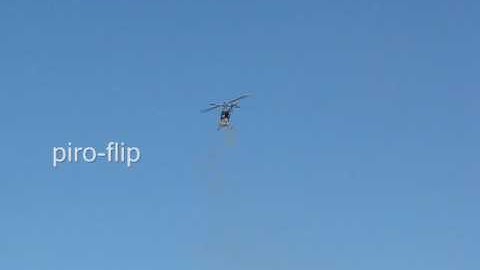 tic piro-flip  kaos pajarorex