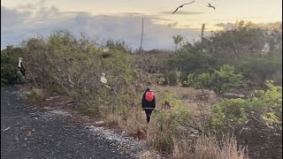Johnston Island Walkthrough From Commander’s House To The JOC