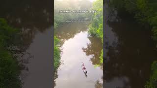 The Pampas of Bolivia's Amazon Are the World's Best Piranha and Anaconda Territory #Shorts