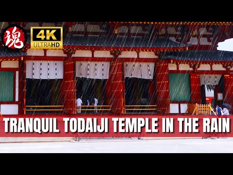Heavy Rain at Todaiji Temple: Tranquil Storm in Ancient Nara | Japan