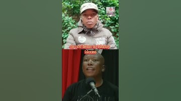 Nhlanhla Lux vs Julius Malema, Hilarious #southafrica #trending #juliusmalema #shutdown