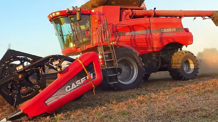 "Joyce Bros. In A Red Machine?" Helping Out at Gri...