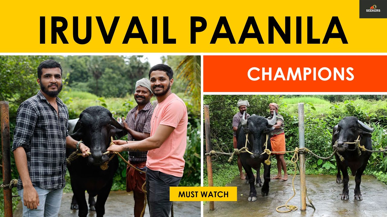 YETH MOKED SAANKUVER THULE... | Iruvail Paanila | Kambala | Champions | SEEKERS |