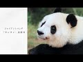 【アーカイブ】ジャイアントパンダ“タンタン”追悼式(2024年5月10日)
