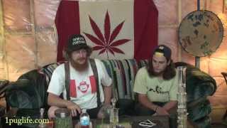 THC episode-463 hash is legal in canada