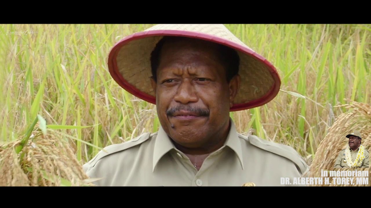 in Memoriam DR ALBERTH H TOREY, MM