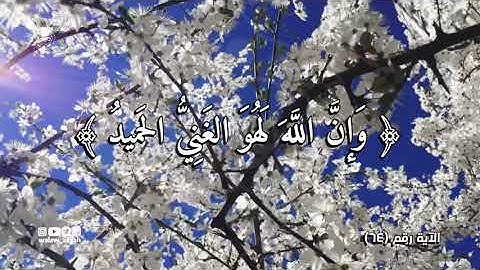له ما في السماوات وما في الأرض وإن الله لهو الغني الحميد  - القارئ ياسر الدوسري