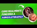 Como funciona a Auriculoterapia? | Como age a aplicação da Auriculoterapia?