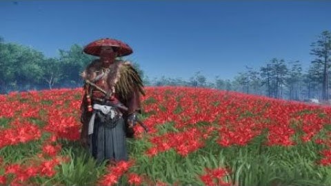 Ghost of Tsushima - Bird In Hand Idle Animation - 12th Encounter