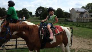 Horses for lease
