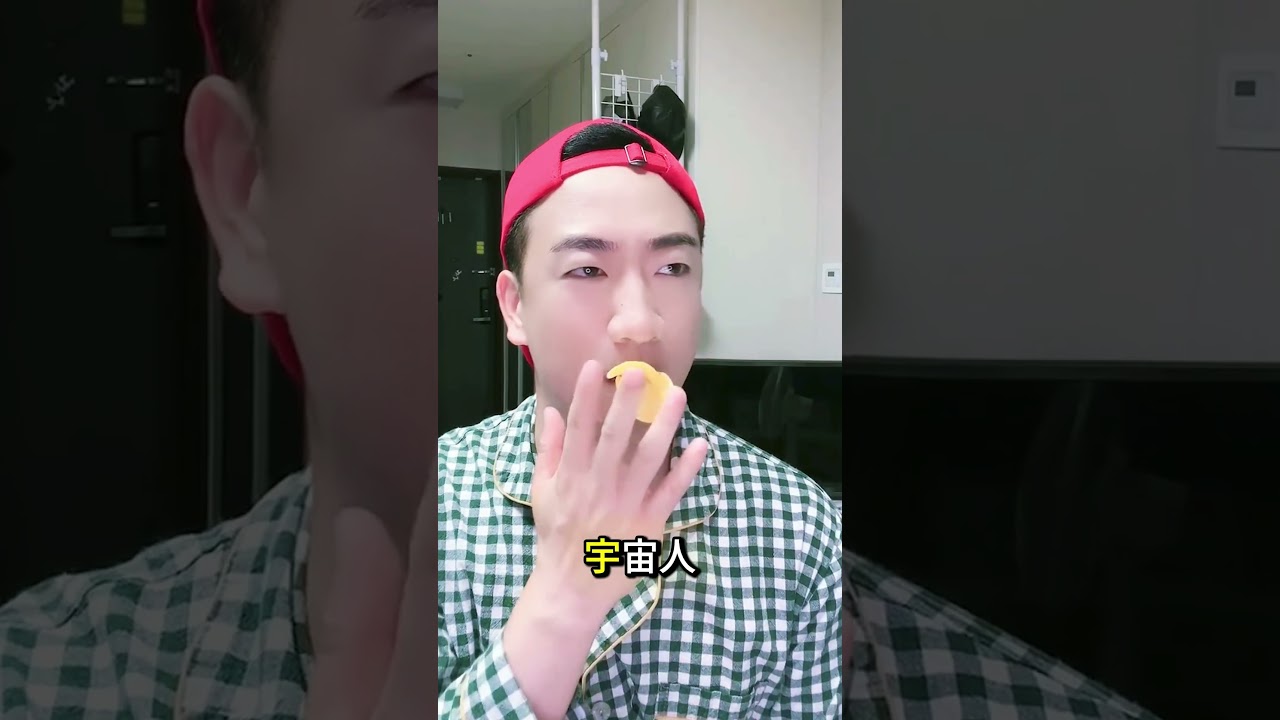 フライドポテトを顕微鏡で見たらどうなる？🍟🔬😱