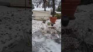 🥶☃️❄️🌨️ Ultimate Extreme Rare Video Happy Thursday🌨️🌨️🌨️🌨️