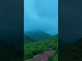The early morning cool breezes of eastern ghats.