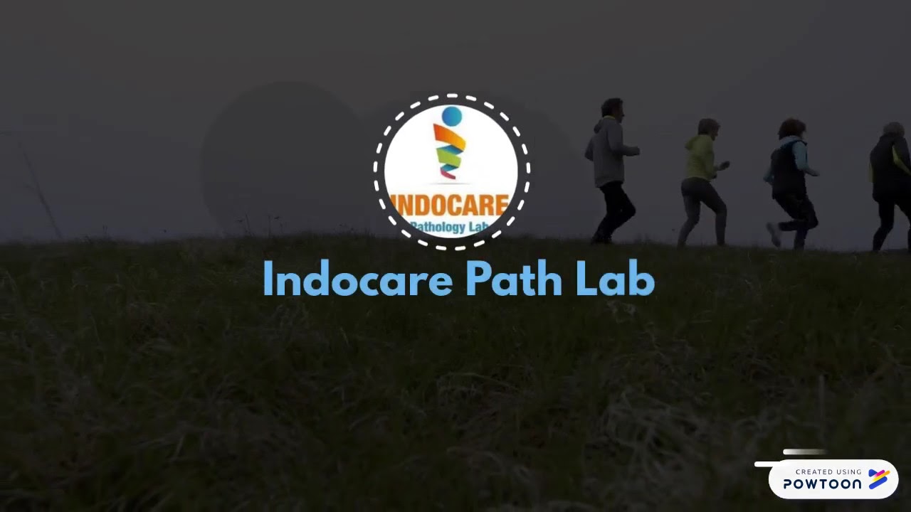 SPECIAL SENIOR HEALTH CARE PACKAGE | Indocare Path Lab