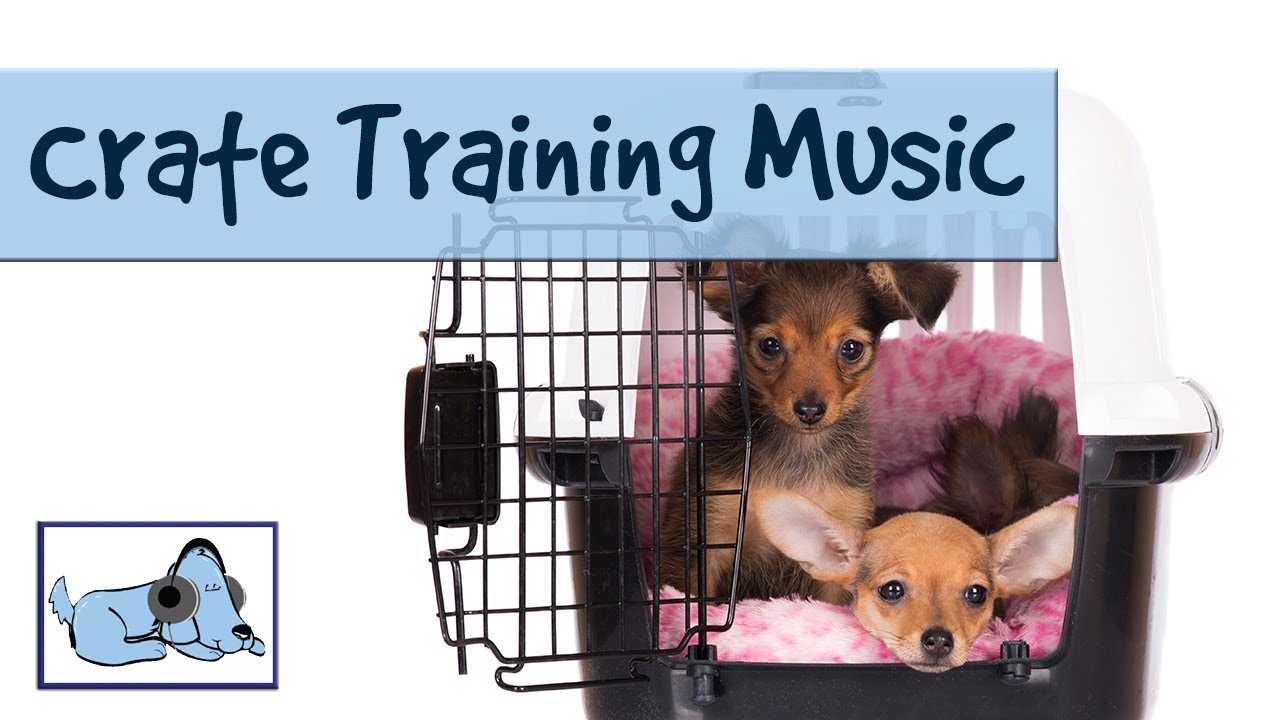 Picture of Music for Dogs During Crate Training - Use Relax my Dog to Keep your ...