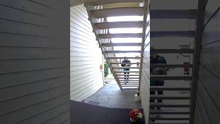 Amazon Home Delivery Driver Climbing Wooden Stairs ASMR Caught On Hidden Camera [USA] Net Worth