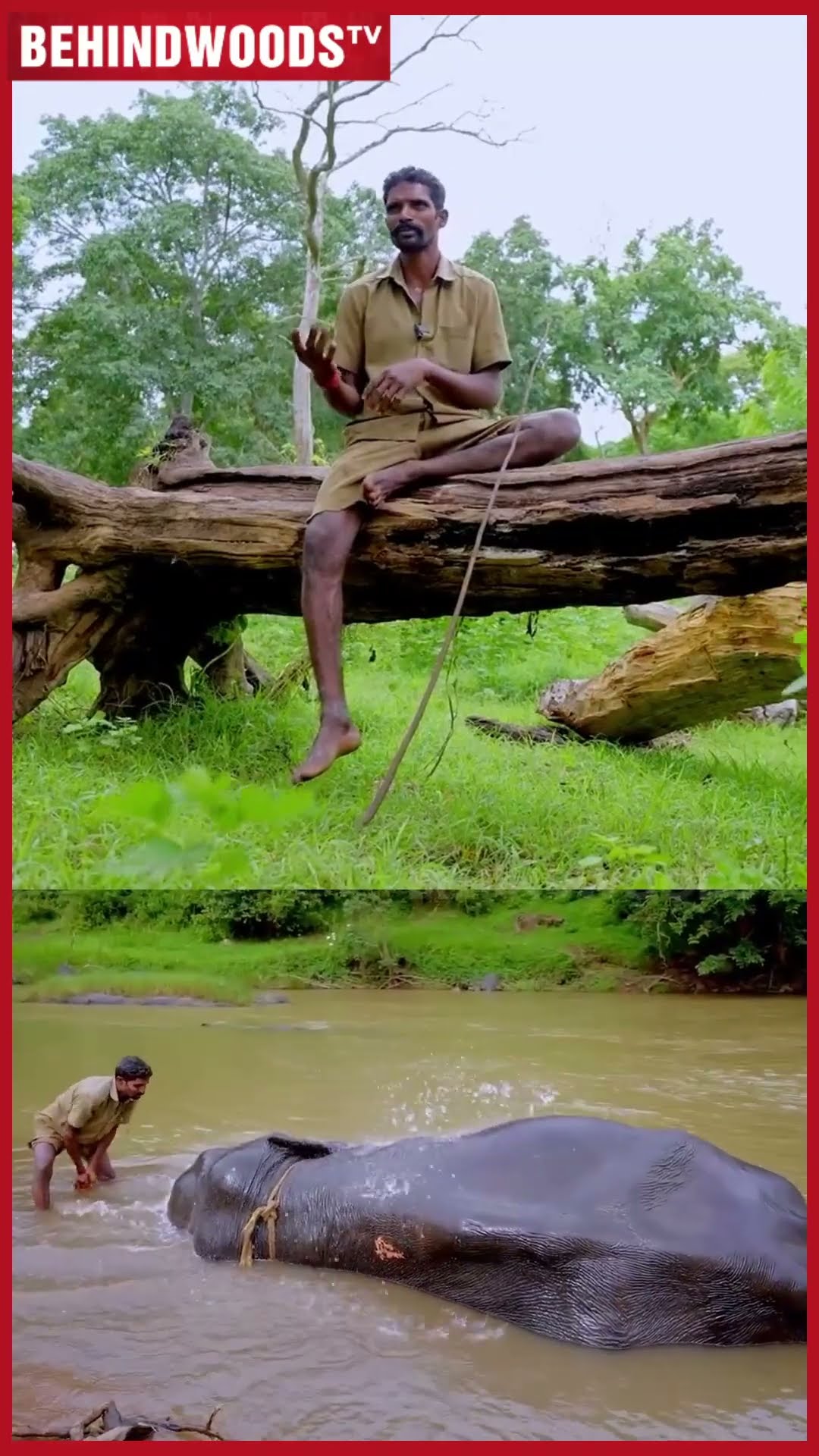 'குழந்தைக்கு கண் தெரியாது சாப்பாடு நான் தான் குடுக்கணும்..' ? பாகன் Emotional
