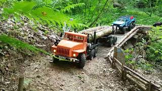 Samstags-Crawlen in Rupis Scale Trail Park Teil 4. 🔔😊🙋‍♂️
