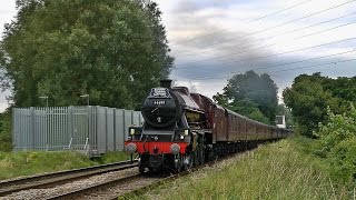 45699 Galatea Brings On The Noise - The Dorset Coast Express - 100816