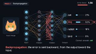 How a Neural Network Learns, Visually Explained