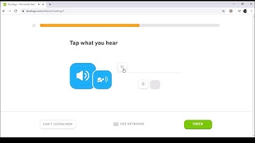 Duolingo Chinese Greeting 1 Lesson