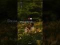 Udaarian - laawan baahan ch samet kaynaat main | lyrics #love #shorts #lyrics #music