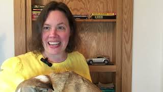 Guessing My Dogs Breed Ancestry  guess what our Dog DNA kit says!