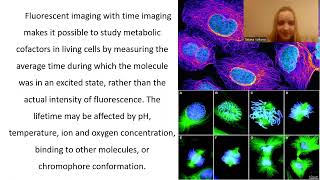 Fluorescence lifetime imaging microscopy as a highly sensitive